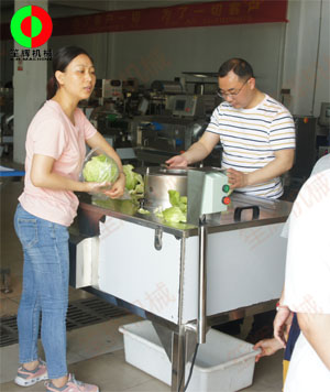 蔬果分瓣機(jī)現(xiàn)場(chǎng)測(cè)試，客戶滿意切割效果！